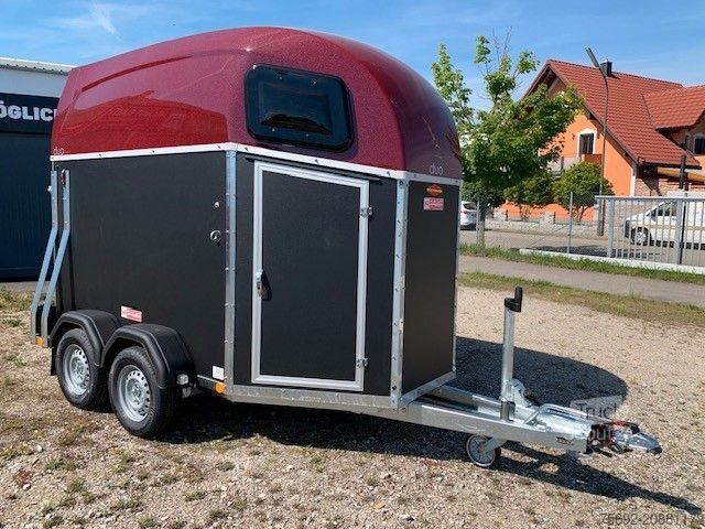 Prikolica za prevoz konj BÖCKMANN DUO Esprit incl. Esprit Zubehörpaket