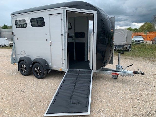 Prikolica za prevoz konj BÖCKMANN Portax LK, seitl. Entladeklappe