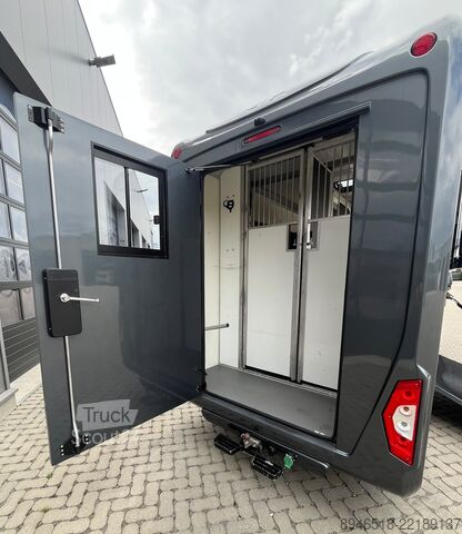 Preprava koní Renault Master STx Master STX