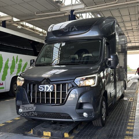 Preprava koní Renault Master STx Master STX