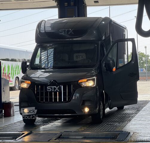 Preprava koní Renault Master STx Master STX