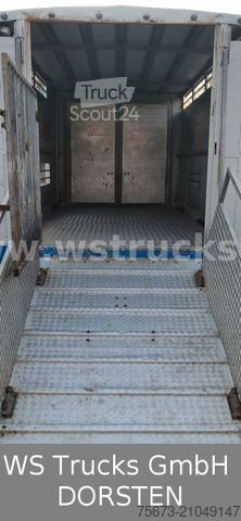 Remorque de transport de chevaux  Bewermeier Tandem 1 Stock