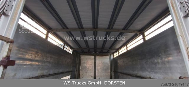 Remorque de transport de chevaux  Bewermeier Tandem 1 Stock