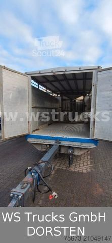Remorque de transport de chevaux  Bewermeier Tandem 1 Stock