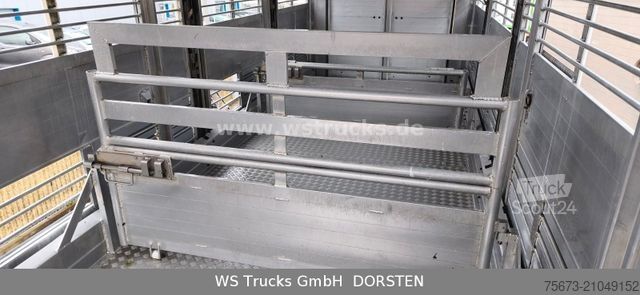 Remorque de transport de chevaux  KABA 3 Stock  Hubdach Viehanhänger