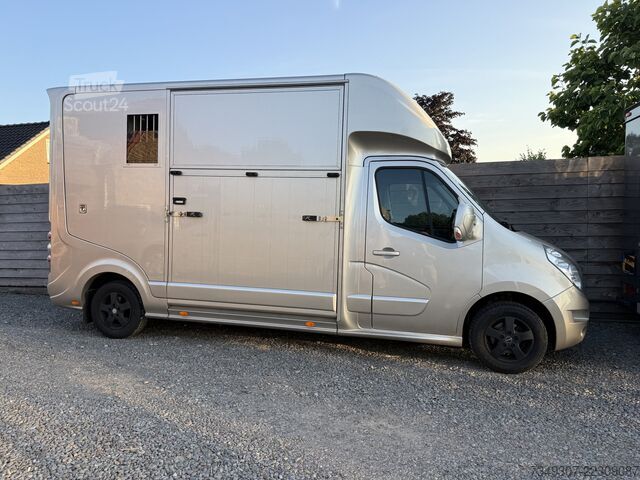 Перевозка лошадей Renault Master | HORSETRUCK | ROELOFSEN | STALLION 3XL ...