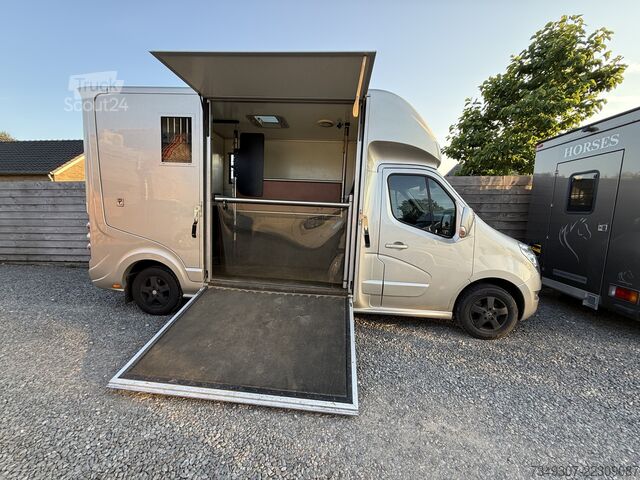 Перевозка лошадей Renault Master | HORSETRUCK | ROELOFSEN | STALLION 3XL ...