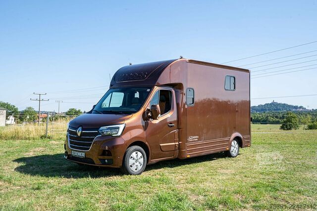 Transporteur de bétail Renault Master Pferdetransporter 5 Sitzplätze Hengst