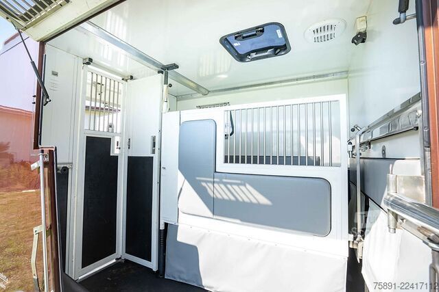 Transporteur de bétail Renault Master Pferdetransporter 5 Sitzplätze Hengst