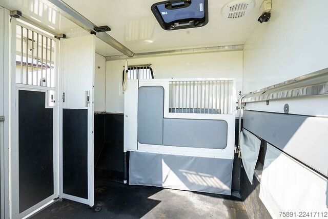 Transporteur de bétail Renault Master Pferdetransporter 5 Sitzplätze Hengst