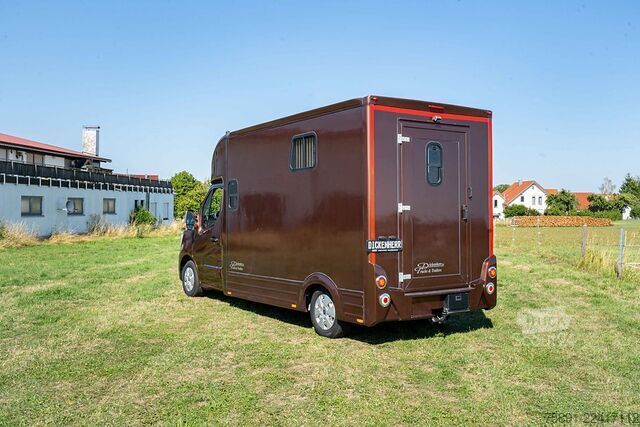 Transporteur de bétail Renault Master Pferdetransporter 5 Sitzplätze Hengst