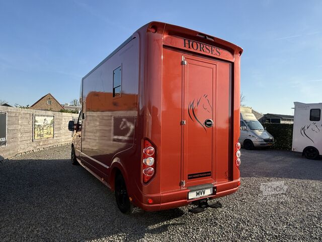 En venta: Remolque para caballos Renault Master único y muy lujoso con Roelofsen. Renault Master PAARDENWAGEN | HORSETRUCK | ROELOFSEN | ...