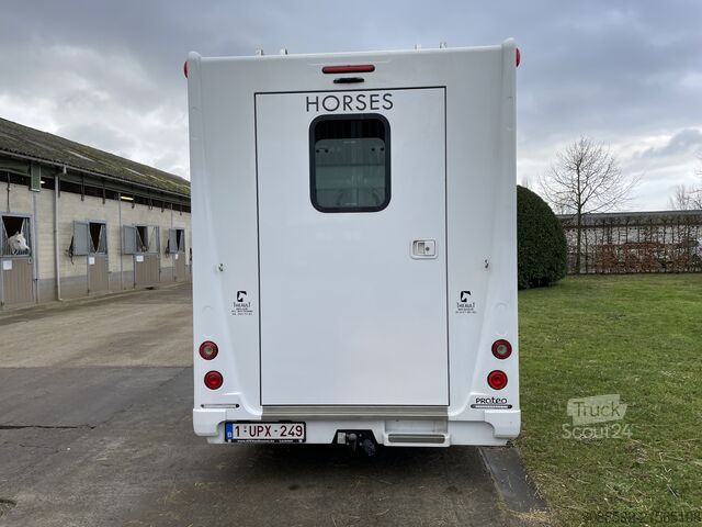 Transporteur de bétail Renault master Theault