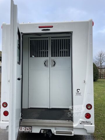 Transporteur de bétail Renault master Theault