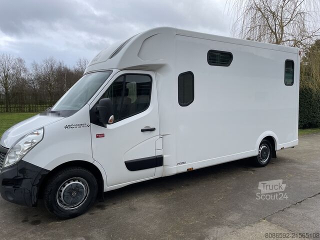 Transporteur de bétail Renault master Theault