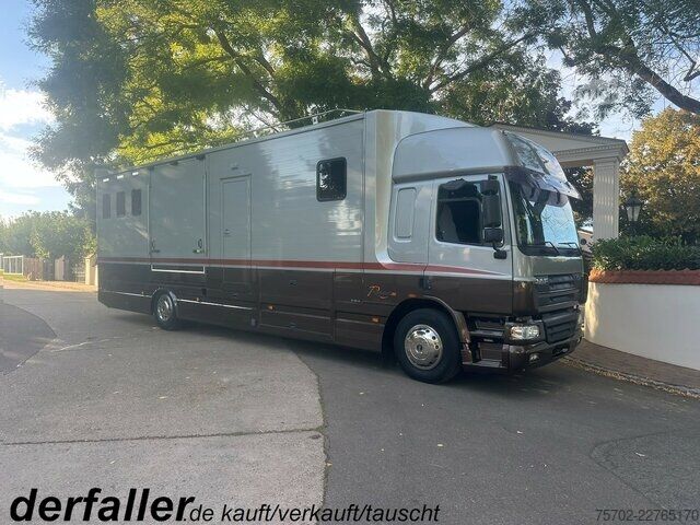 Furgone DAF CF Roelofsen 6 Pferde Wohnung