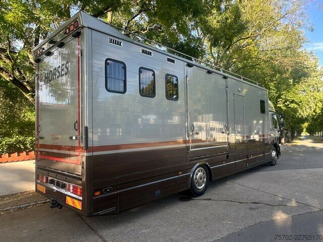 Furgone DAF CF Roelofsen 6 Pferde Wohnung