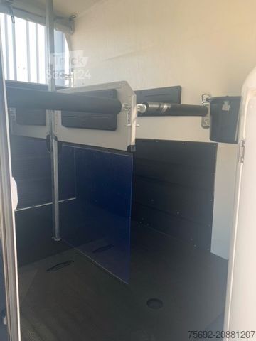 Prikolica za prevoz konj BÖCKMANN Master WCF incl. Mittelpfostentrennwand