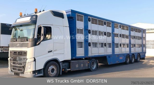 Boskapsbil VOLVO FH 460 Mega mit Finkl 3 Stock Hubdach
