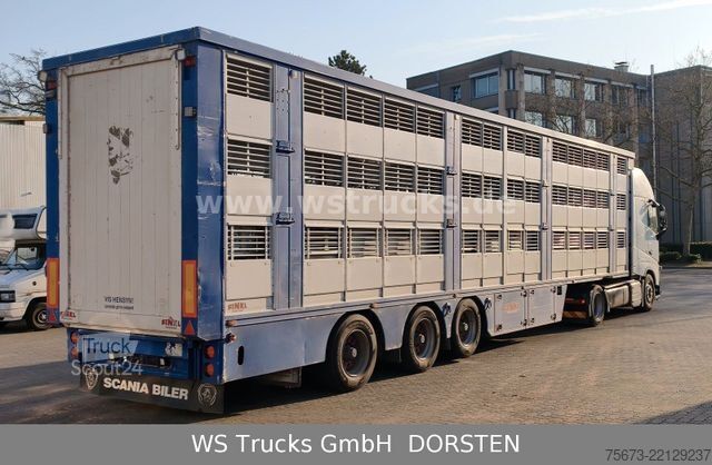 Boskapsbil VOLVO FH 460 Mega mit Finkl 3 Stock Hubdach