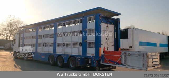 Boskapsbil VOLVO FH 460 Mega mit Finkl 3 Stock Hubdach
