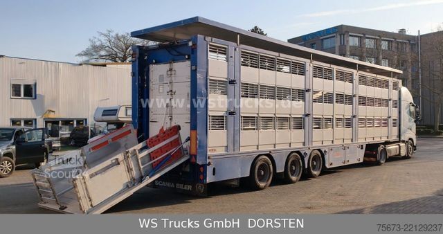 Boskapsbil VOLVO FH 460 Mega mit Finkl 3 Stock Hubdach