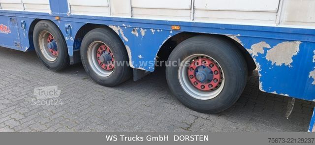 Boskapsbil VOLVO FH 460 Mega mit Finkl 3 Stock Hubdach