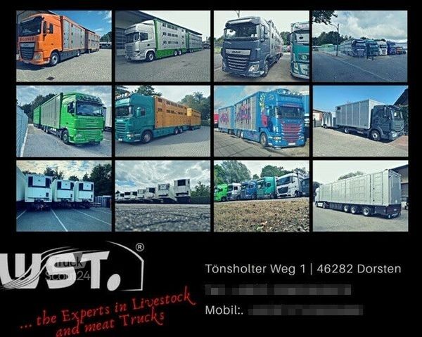 Boskapsbil VOLVO FH 460 Mega mit Finkl 3 Stock Hubdach