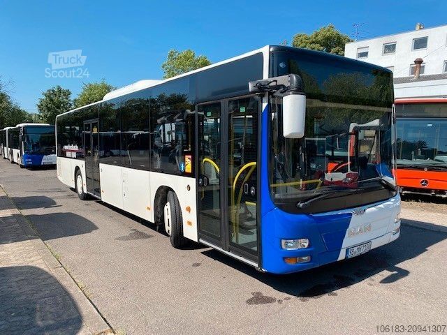 Mestni avtobus MAN A 21 Lion City / 5 Stück