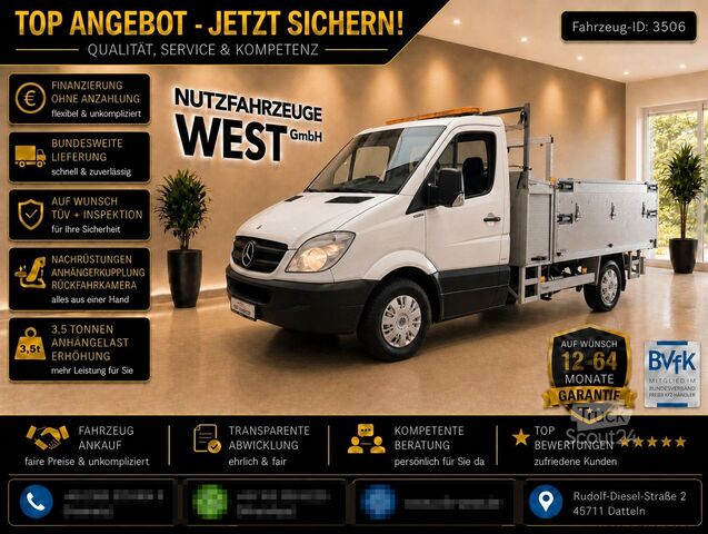 Sklápěcí dodávka MERCEDES-BENZ Sprinter 316 Benzin/Gaß*Kran*+Kipper*Garantie