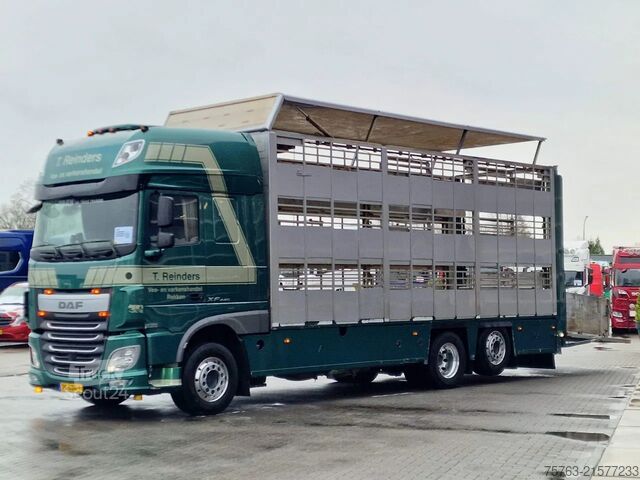 Transport de bétail DAF XF 440 SuperSpaceCab 6x2*4 - Cuppers 1-2-3 deck...