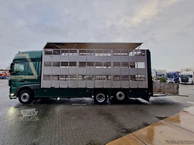 Transport de bétail DAF XF 440 SuperSpaceCab 6x2*4 - Cuppers 1-2-3 deck...