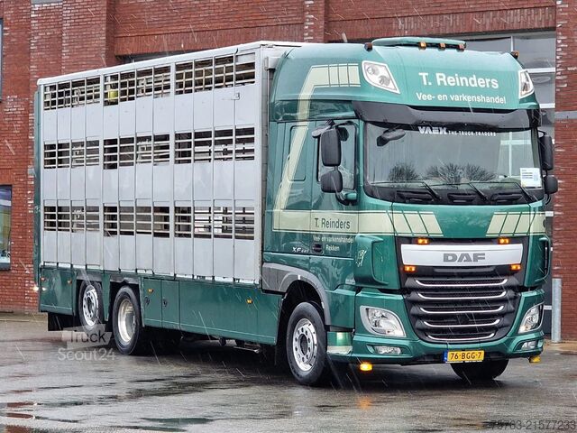 Transport de bétail DAF XF 440 SuperSpaceCab 6x2*4 - Cuppers 1-2-3 deck...