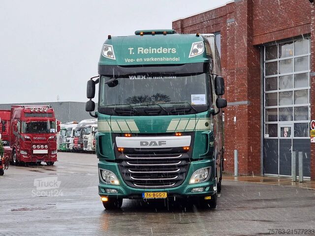 Transport de bétail DAF XF 440 SuperSpaceCab 6x2*4 - Cuppers 1-2-3 deck...