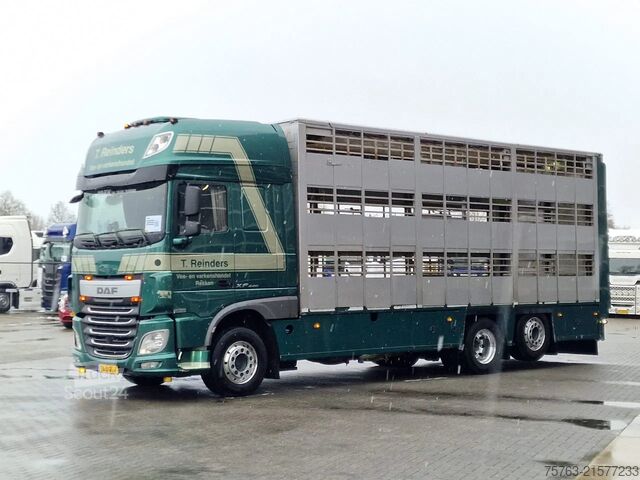 Transport de bétail DAF XF 440 SuperSpaceCab 6x2*4 - Cuppers 1-2-3 deck...