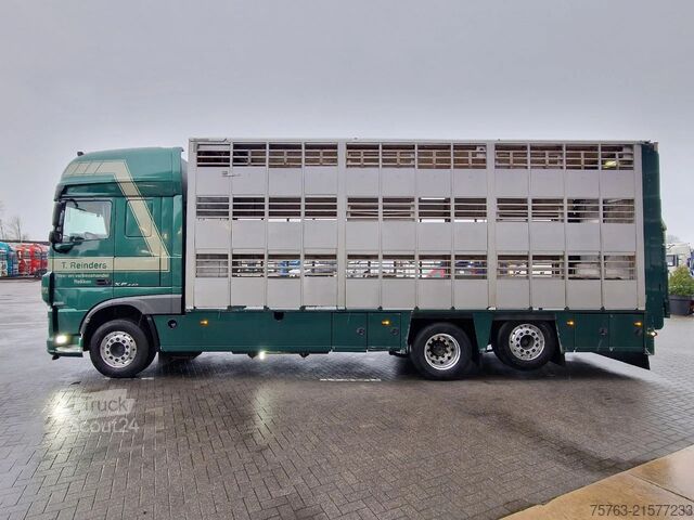 Transport de bétail DAF XF 440 SuperSpaceCab 6x2*4 - Cuppers 1-2-3 deck...