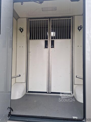 Transport av hästar Opel Movano Occasion paardenwagen STX S3 Pro-Safety ...