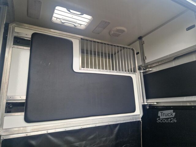 Transport av hästar Opel Movano Occasion paardenwagen STX S3 Pro-Safety ...