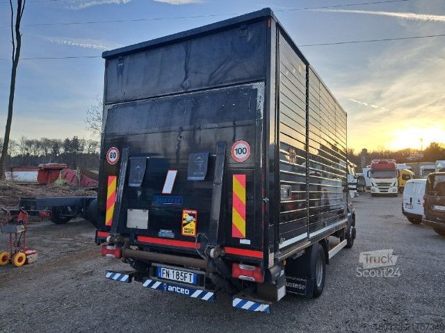 Skříňový nákladní automobil IVECO 70C18