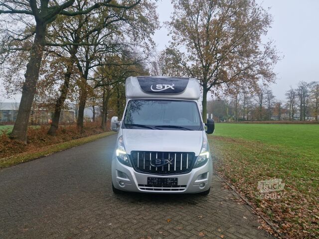Pferdetransport Opel Movano Occasion paardenwagen STX hengsten uitvo...