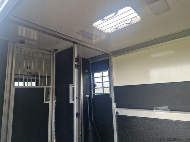 Pferdetransport Opel Movano Occasion paardenwagen STX hengsten uitvo...