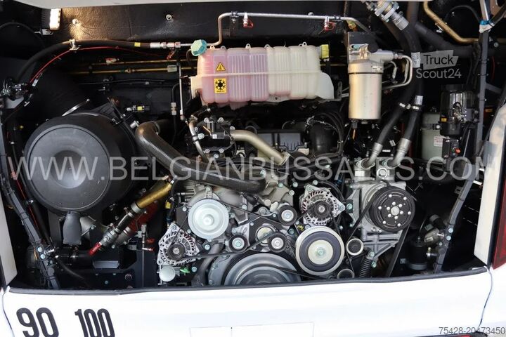 Coach MAN LION'S COACH R08