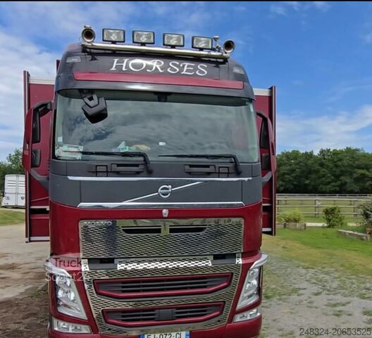 Nákladní vůz pro přepravu dobytka Volvo FH 460