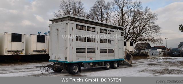 Remolque de transporte de caballos  KABA 3 Stock  Hubdach Viehanhänger