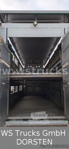 Remolque de transporte de caballos KABA 3 Stock Hubdach Viehanhänger