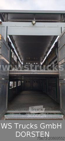 Remolque de transporte de caballos KABA 3 Stock Hubdach Viehanhänger