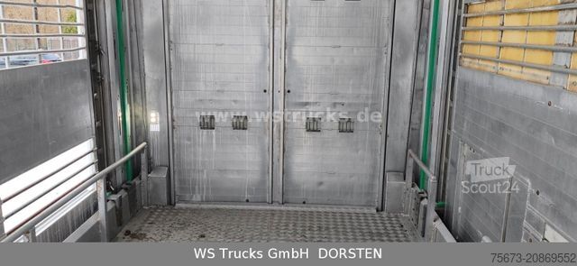 Remolque de transporte de caballos  KABA 3 Stock  Hubdach Viehanhänger