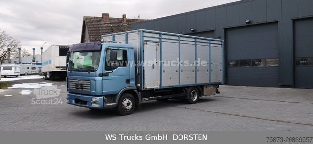 Camion pour bétail MAN TGL 10.210 1 Stock Viehtransporter