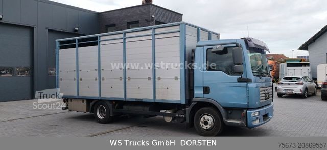 Tovorni avtomobil za prevoz živine MAN TGL 10.210 1 Stock Viehtransporter