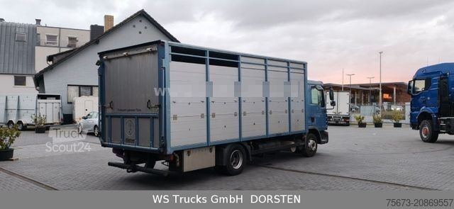 Camion pour bétail MAN TGL 10.210 1 Stock Viehtransporter
